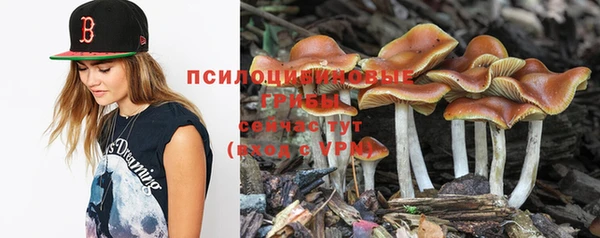 марихуана Абаза