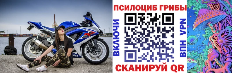 Галлюциногенные грибы Psilocybine cubensis Новоалександровск