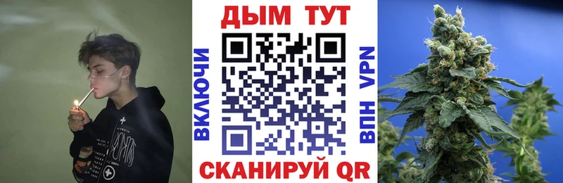 Каннабис сатива Новоалександровск